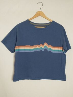 Patagonia Navy Tee with Multicolor Wave Stripes